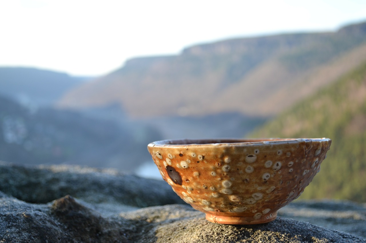 bowl-169435_1280